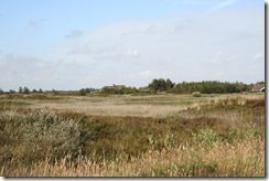 Deense heide
